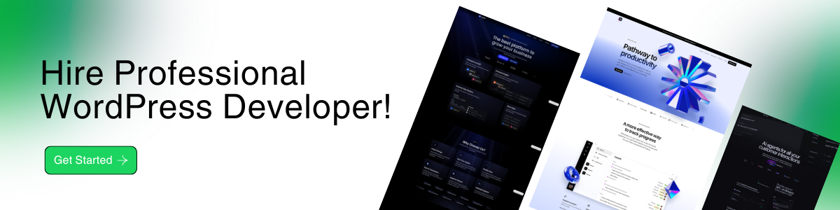 Hire Professional WordPress Developer