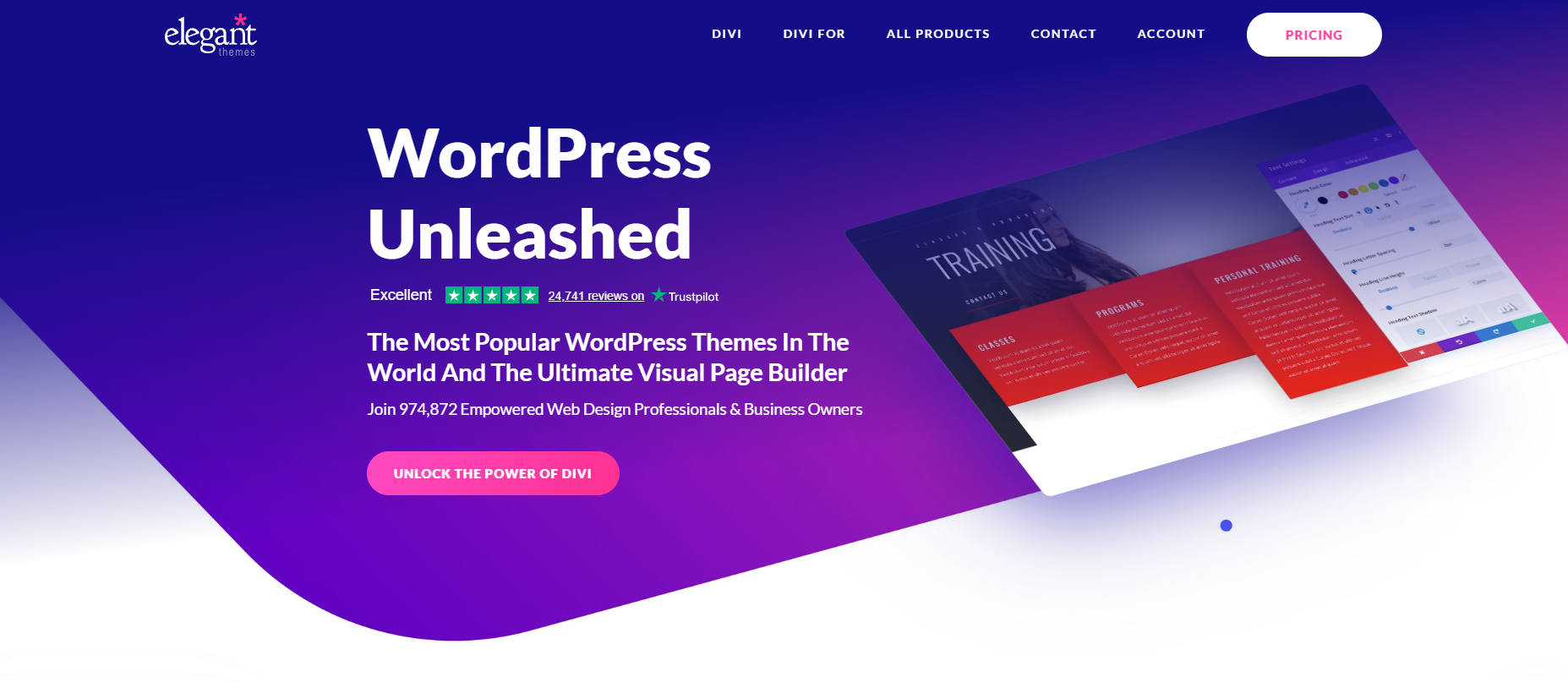 a picture of divi theme