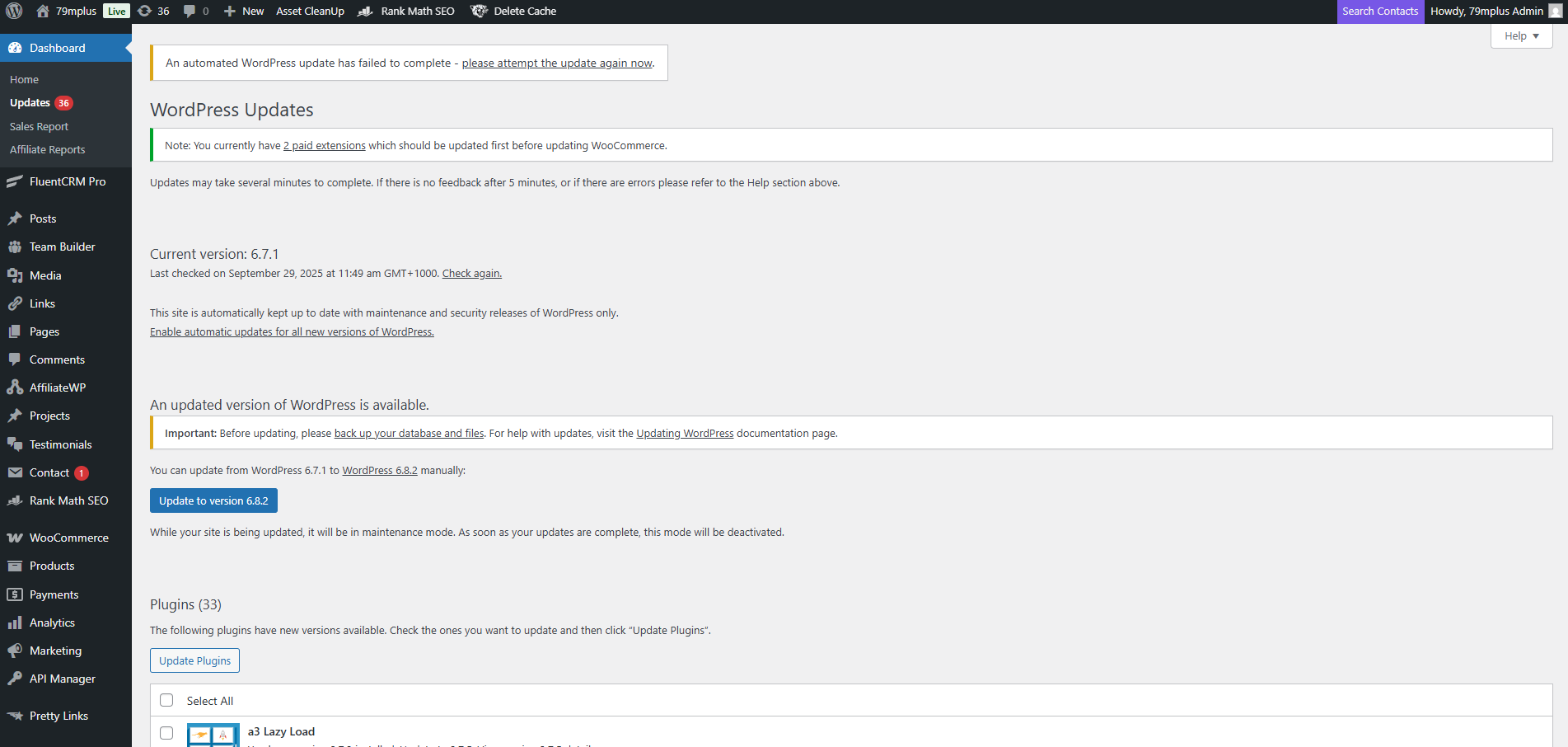 WordPress Updates page showing core, plugin, and theme update notifications