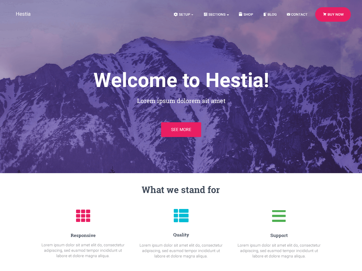 Hestia is a modern WordPress theme