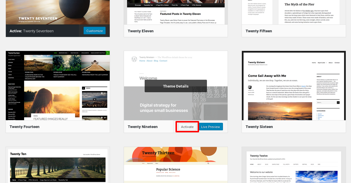 Activating the Twenty Nineteen theme on WordPress 5